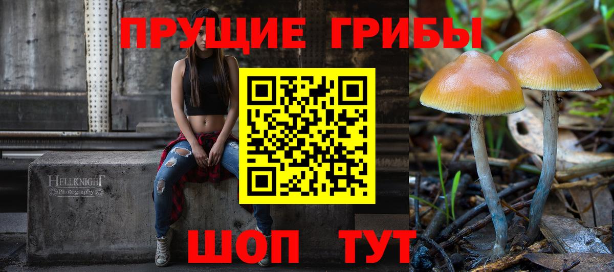 Галлюциногенные грибы MAGIC MUSHROOMS  Вход с VPN  купить наркотики цена  Южноуральск 